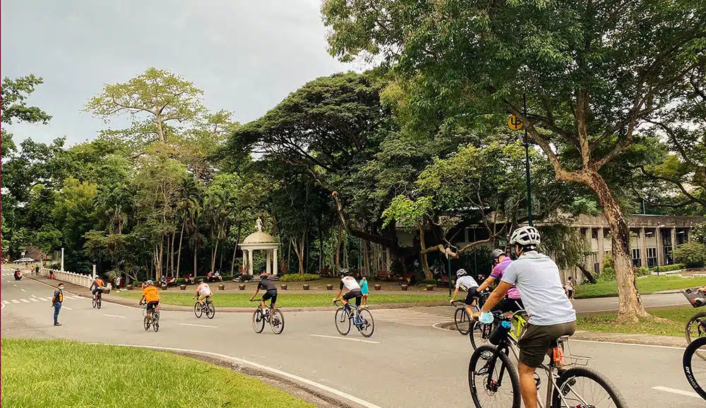 Pilot Tests of Bike Sharing System to Begin at UP Los Baños
