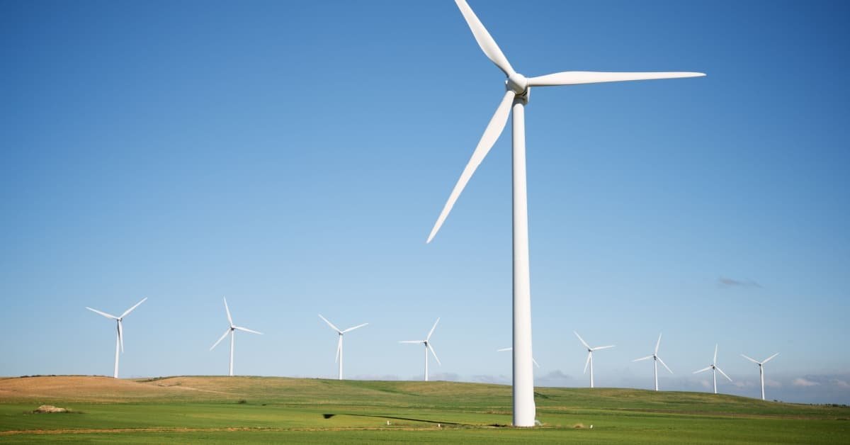 Characteristics and Stimuli of the 2008 Renewable Energy Act