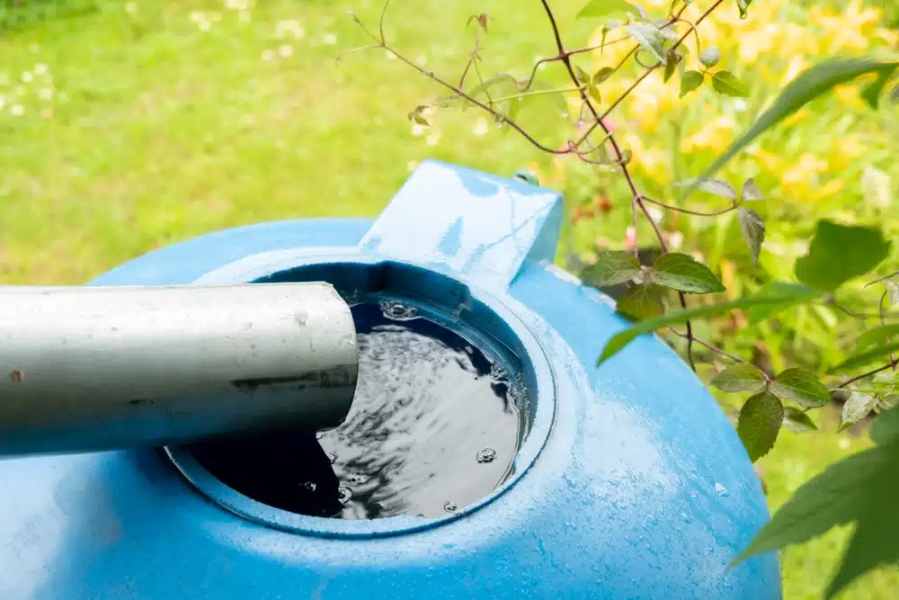 Water Solutions for Luzon’s Sustainable Farming