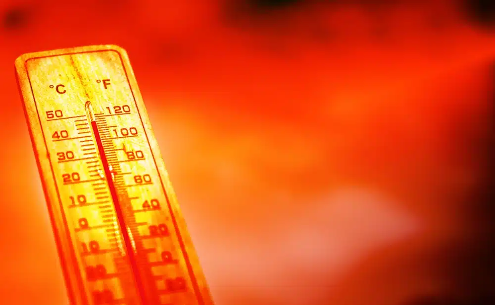 IPPs Commit to Rapid Outage Resolution