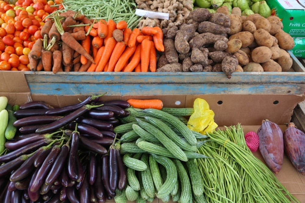 Cagayan Valley Launches Eco Cooler to Cut Crop Waste