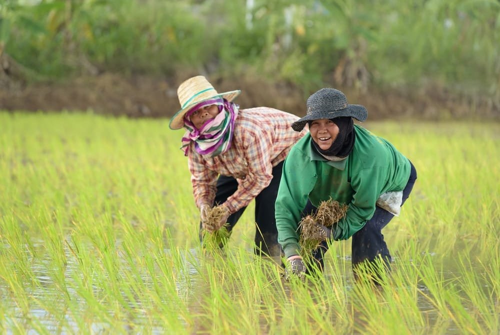 Marcos Unveils PH’s First Mega Solar Irrigation System