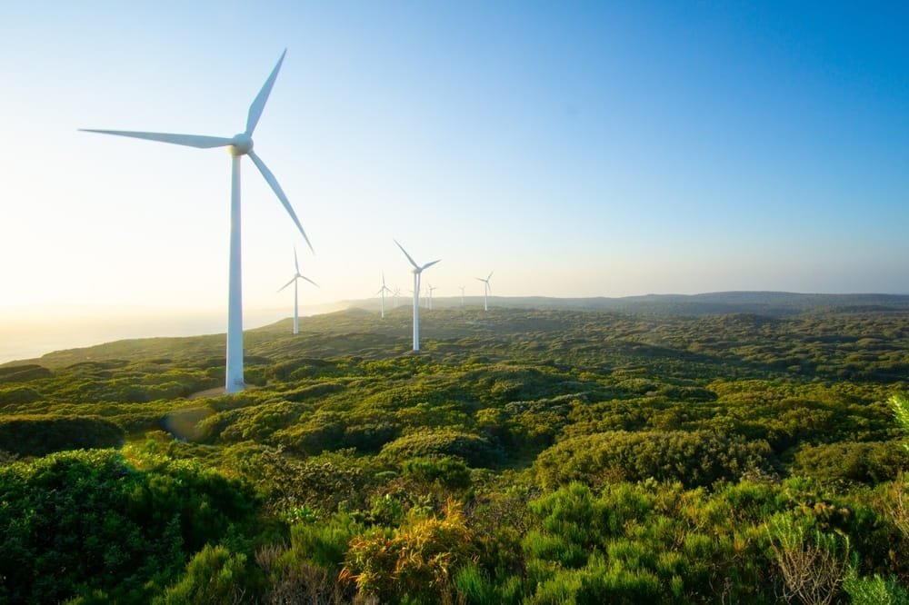 Citicore Subsidiary Taps Pangasinan for 80-MW Wind Power Expansion