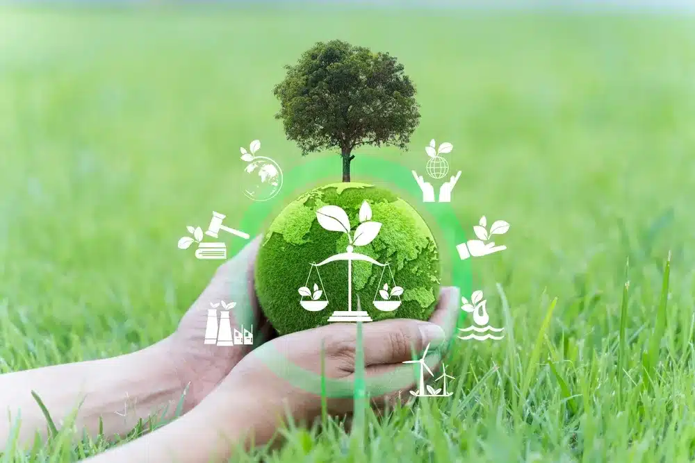 SMC, CREC Dominate 4th Green Energy Auction