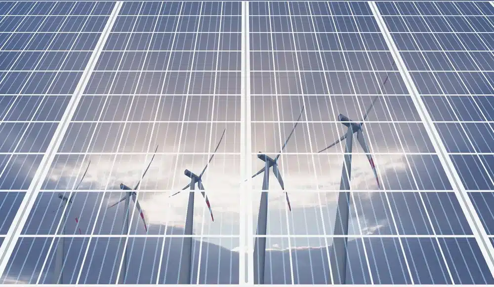 Green Projects, Red Flags: Communities & Ecosystems at Risk