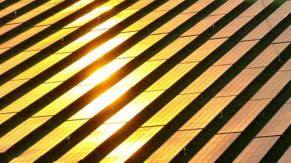 NGCP Backs Terra Solar Project, Warns Of Grid Challenges