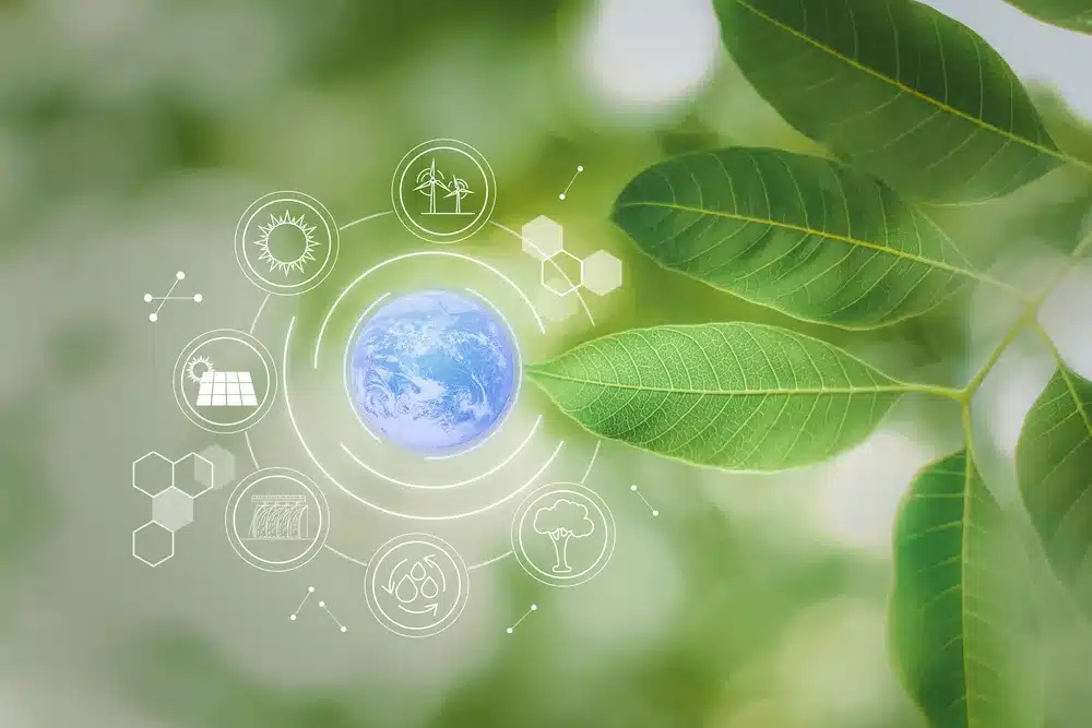 Renewable Energy Expansion Falls Behind Despite Government Drive