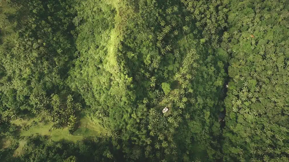 ACEN Drops 456-MW Solar Projects In Quezon, Zambales Over Land Hurdles